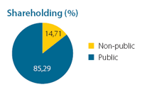 Shareholding (%)